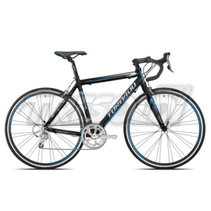 Vendita Bici Da Corsa Online Modelli E Prezzi Cicli Tresoldi